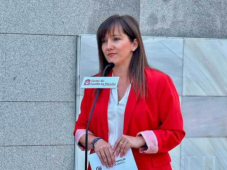 Andicoberry: “Nuestra prioridad era trabajar para que en el nuevo Estatuto de Autonomía se incluyesen las propuestas de la sociedad civil”