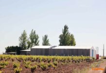 García-Page anuncia el aumento del 10 por ciento en las ayudas a la contratación de seguros agrarios superando los 10,5 millones de euros