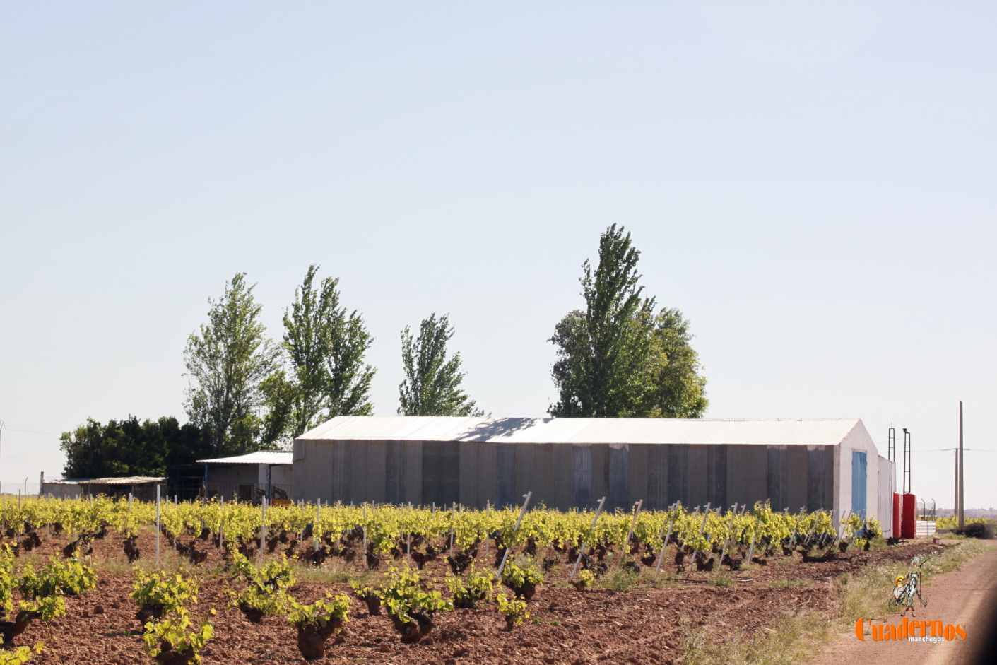 García-Page anuncia el aumento del 10 por ciento en las ayudas a la contratación de seguros agrarios superando los 10,5 millones de euros