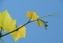 El Tiempo en Castilla-La Mancha para hoy 17 de mayo