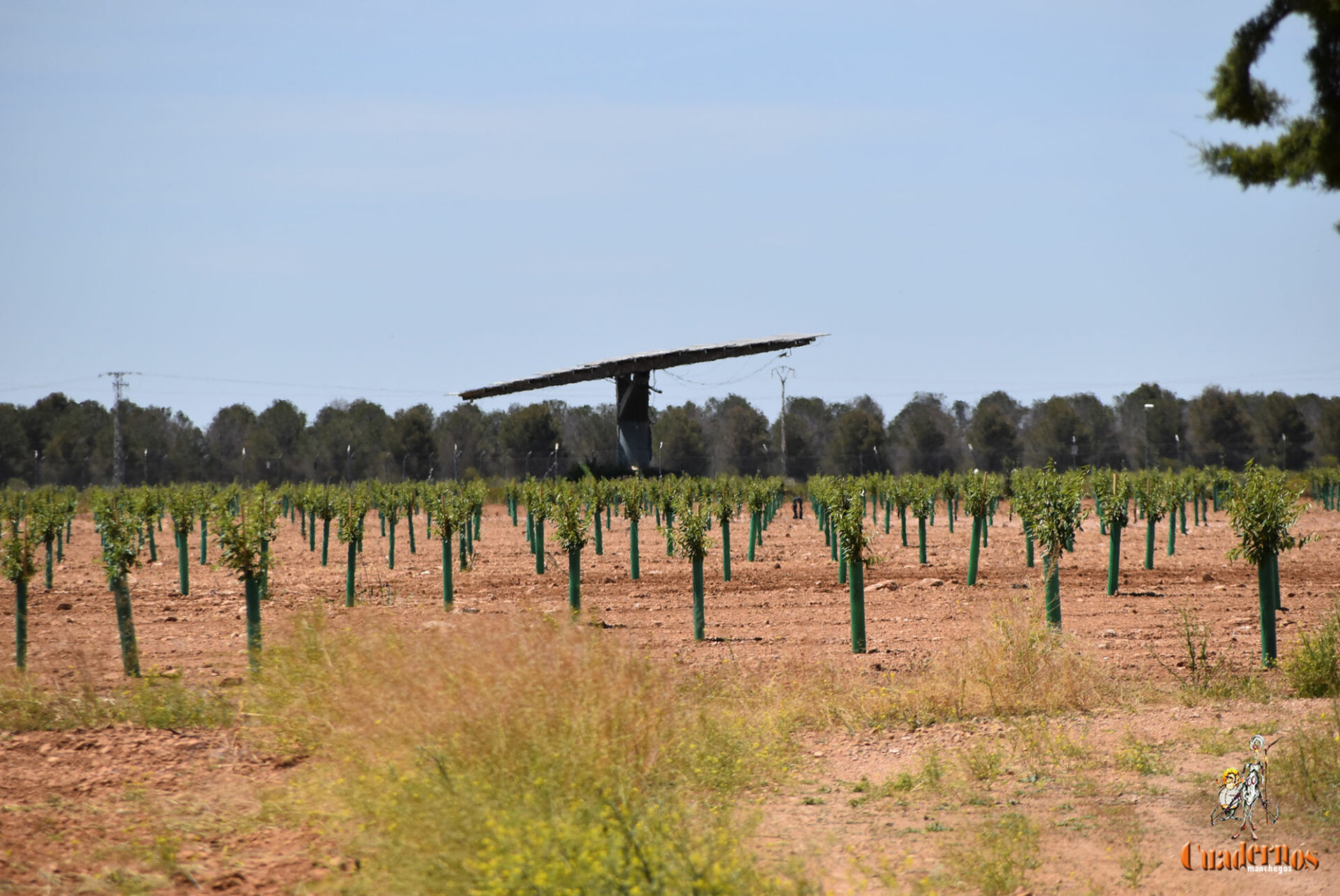 El tiempo en Castilla-La Mancha para hoy 25 de mayo del 2025