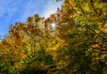 El tiempo en Castilla-La Mancha para hoy 27 de mayo