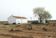 El Tiempo en Castilla-La Mancha para hoy 15 de mayo del 2025