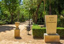 Trabajos de endoterapia vegetal en distintos puntos de Tomelloso