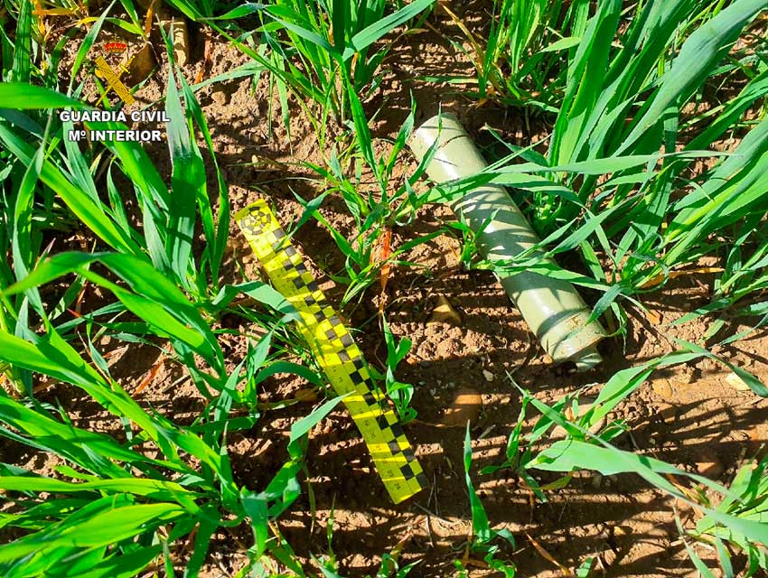 Abatido un corzo en tiempo de veda y sin autorización del titular cinegético