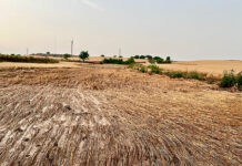 Asaja Cuenca exige a Agroseguro peritaciones ajustadas a las producciones aseguradas