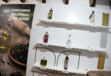 Andalucía y Castilla-La Mancha triunfan en el Concurso Nacional de AOVE de Fercam