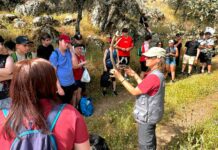 El Gobierno de CLM agradece al Ayuntamiento de Solana del Pino su implicación en la promoción y conservación del Valle de Alcudia y Sierra Madrona