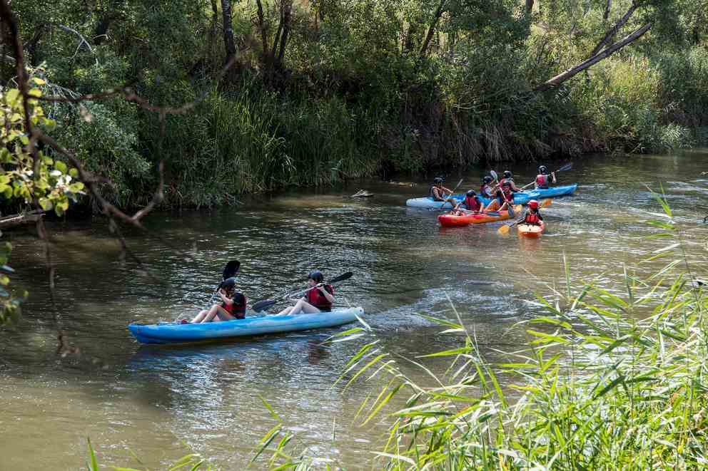 Más de una veintena de menores con y sin discapacidad participan en ‘Ciencia ON’, el campamento inclusivo que la ONCE organiza en Nerpio, Albacete