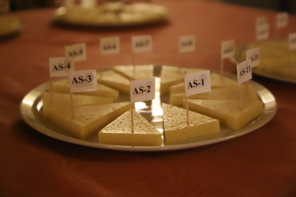 concursoregionalquesomanchegofercam 5