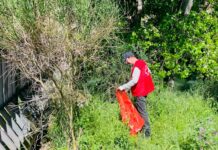 Cruz Roja celebra en Día del Medio Ambiente en la provincia de Cuenca con actividades en la naturaleza