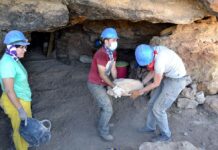 Nuevo hallazgo en la Cueva de los Toriles de Carrizosa: una ventana al Paleolítico Medio en Ciudad Real