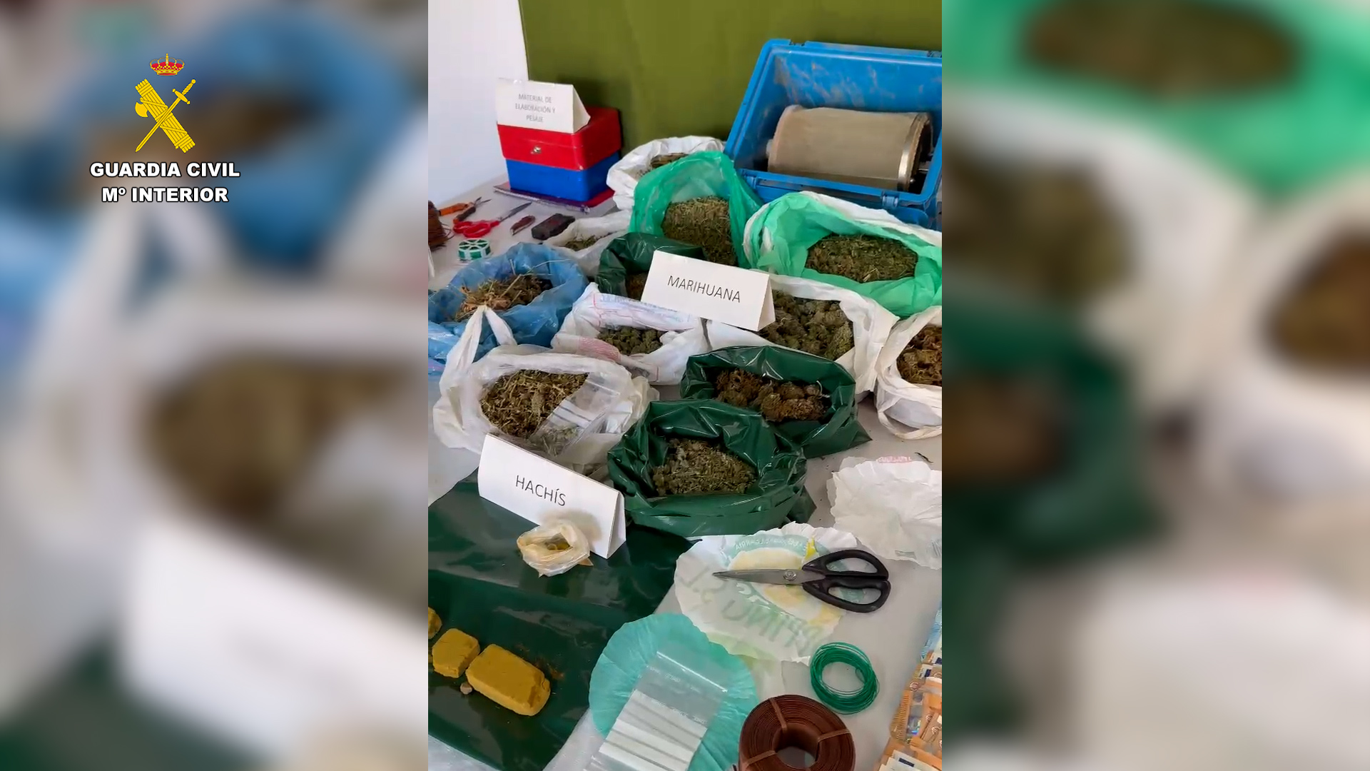 Detenido un grupo criminal dedicado al cultivo y tráfico de drogas en Villarrubia de los Ojos