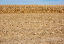 Lucas-Torres afirma que cada vez que Page habla de política hídrica debería explicar por qué los agricultores de la región tienen menos agua que hace diez años