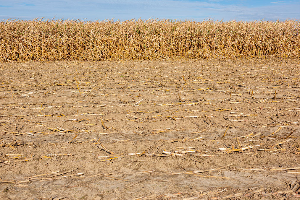 Lucas-Torres afirma que cada vez que Page habla de política hídrica debería explicar por qué los agricultores de la región tienen menos agua que hace diez años