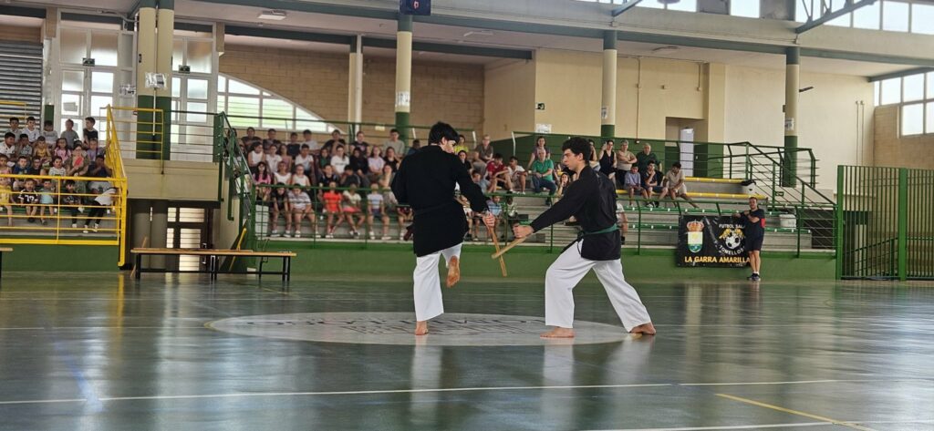 exhibicion zen bushido saul ponce miguel valverde 3
