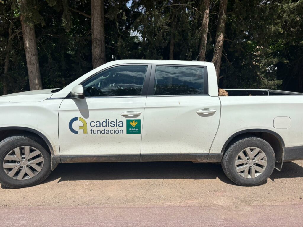 fundacionglobalcaja cadisla 3