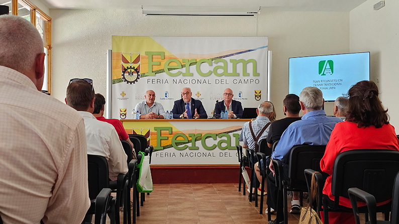 El futuro del olivar pasa por la reconversión que permita la mecanización