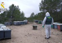 La Guardia Civil de Albacete detiene a una persona por el hurto de cajas de colmenas apícolas