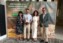 El Gobierno regional destaca la implicación de los propietarios de las fincas privadas en la recuperación del lince ibérico en Castilla-La Mancha
