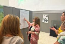 El Museo de Paleontología de Castilla-La Mancha acoge la muestra ‘Fósiles con otra mirada. Paleobiología de los vertebrados de Las Hoyas’ hasta el 26 de octubre