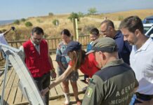 El Gobierno de CLM valora el esfuerzo y eficacia del operativo INFOCAM en el incendio de Burujón, marcado por tormentas y simultaneidad de siniestros