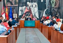 El Pleno de la Diputación de Ciudad Real destina más de 7,5 de euros para amortizar la deuda de RSU, apoyo a los ayuntamientos, promoción económica, cultural, deportiva e infraestructuras en la provincia
