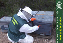La Guardia Civil de Albacete detiene a dos personas por la sustracción de colmenas apícolas