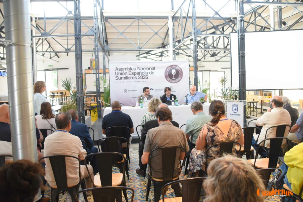 sumillares acto tomelloso 3