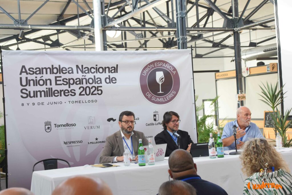 sumillares acto tomelloso 7