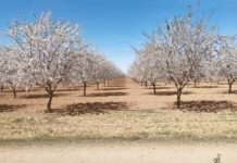 El tiempo en Castilla-La Mancha para hoy 16 de junio
