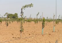El tiempo en Castilla‑La Mancha para hoy 23 de junio