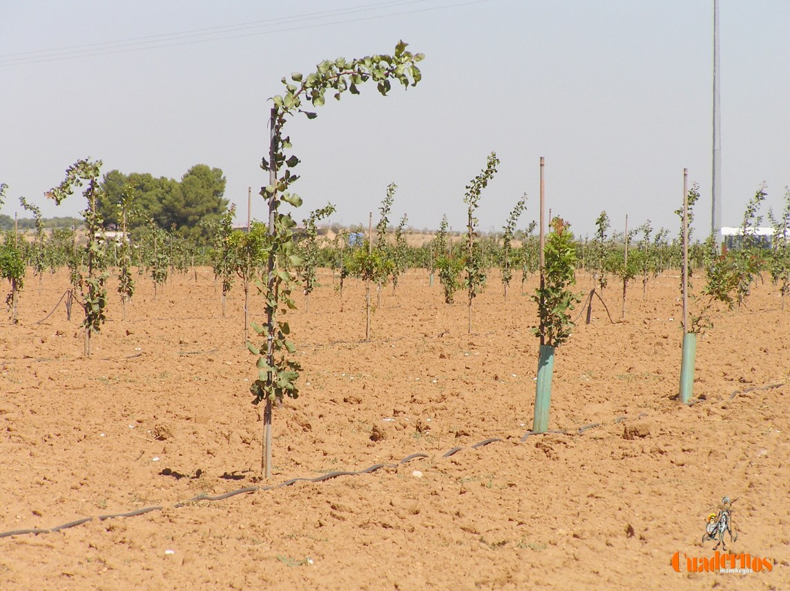 El tiempo en Castilla‑La Mancha para hoy 23 de junio