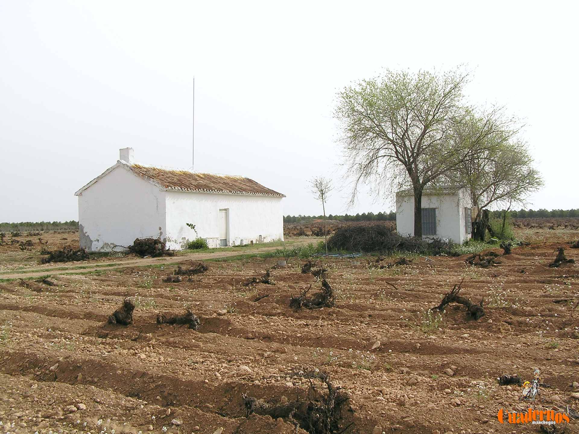 El tiempo en Castilla-La Mancha para hoy 6 de junio