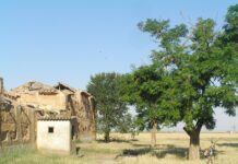 El Tiempo en Castilla-La Mancha para hoy 13 de junio