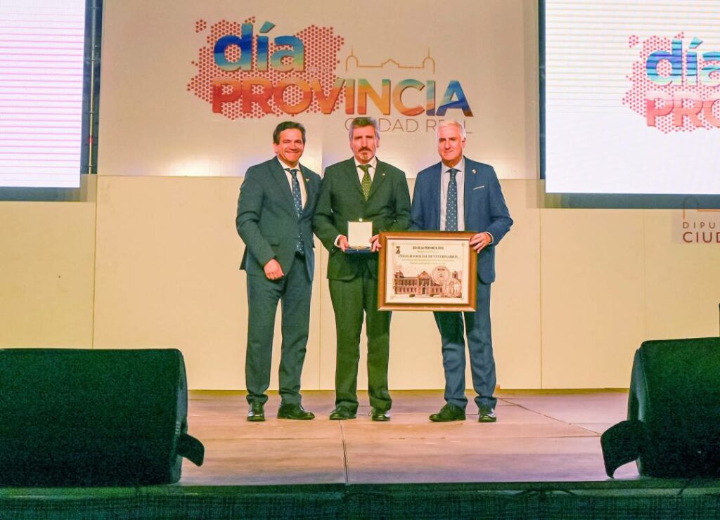 valverde dia de la provincia 10