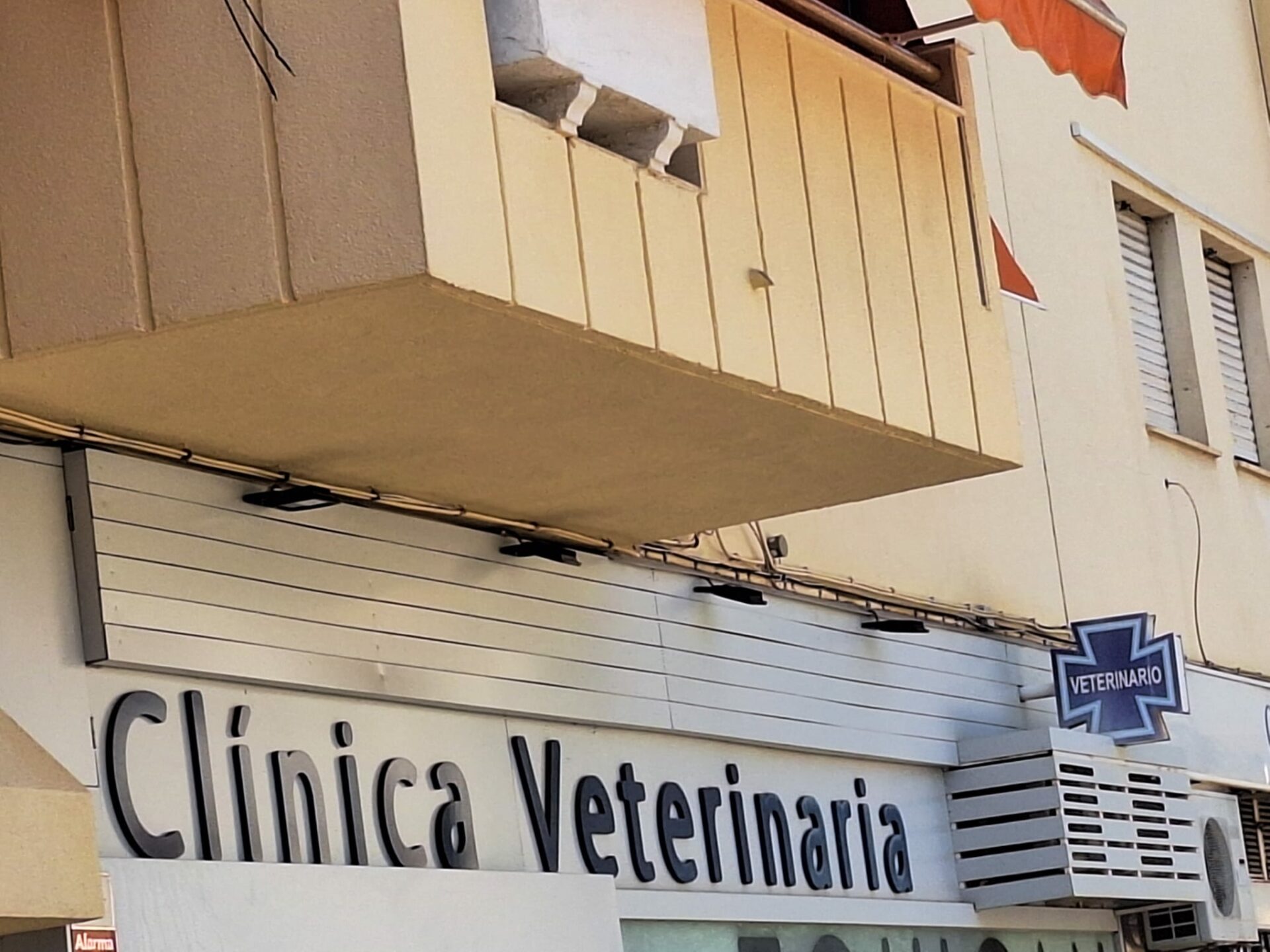 El Consejo de Colegios Profesionales de Veterinarios de Castilla-La Mancha demanda que los centros veterinarios sean considerados un eslabón más de la Atención Primaria