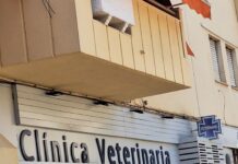 El Consejo de Colegios Profesionales de Veterinarios de Castilla-La Mancha demanda que los centros veterinarios sean considerados un eslabón más de la Atención Primaria
