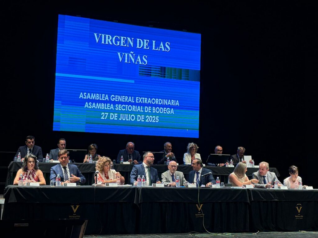 alcalde intervencion virgen vinas 3