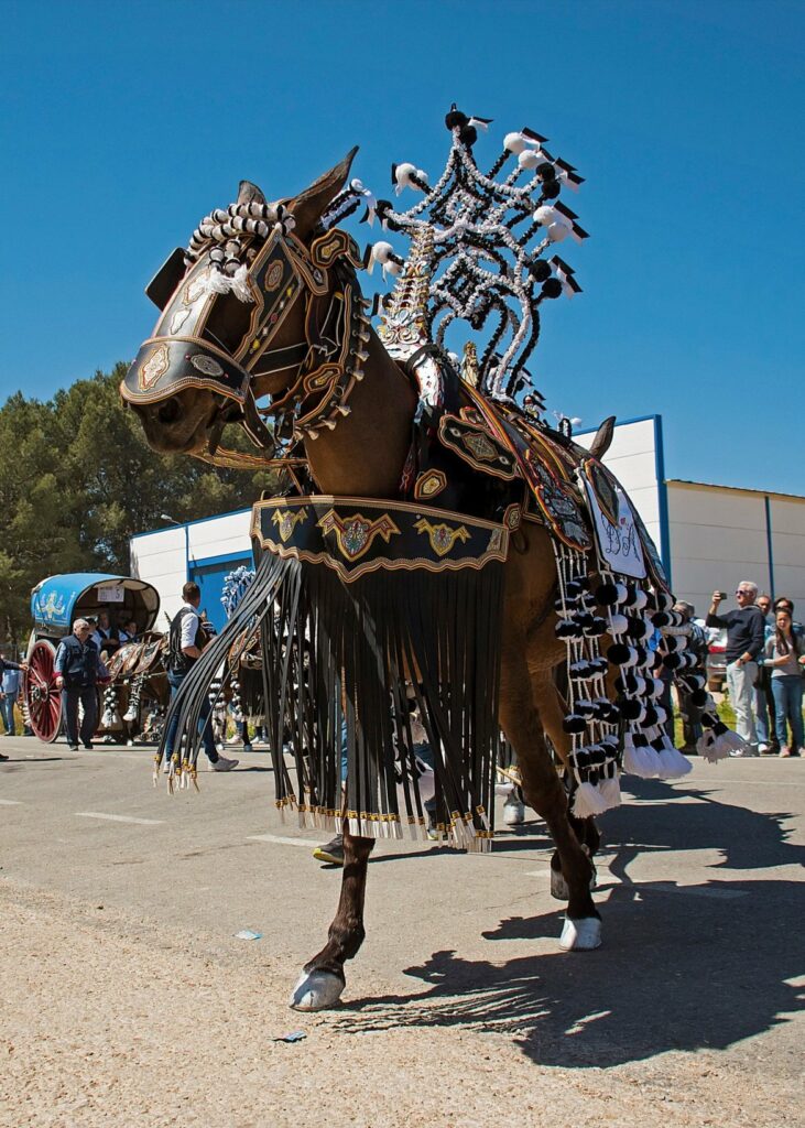anabelcorral´ vencedora naraton romeria tomelloso 2025 2
