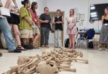 Cuarenta universitarios realizan una formación en antropología forense en Valdepeñas