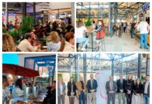 El PP de Tomelloso acusa al PSOE de «no dar la cara» y de «estar escondidos como las marmotas»