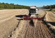Este lunes se publica la nueva resolución que regula la actividad de cosechado y empacado compatible con la prevención de incendios forestales