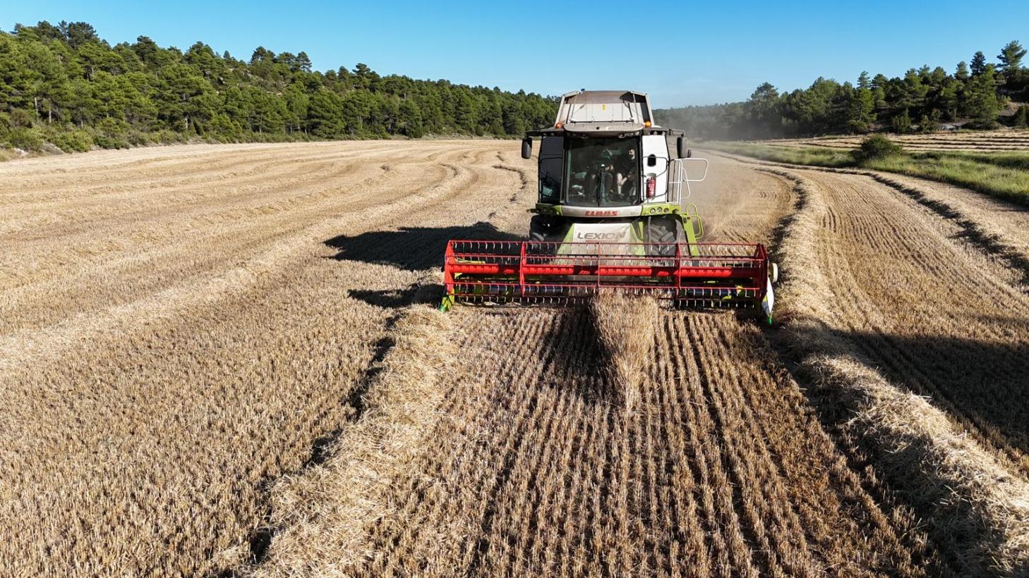 Este lunes se publica la nueva resolución que regula la actividad de cosechado y empacado compatible con la prevención de incendios forestales