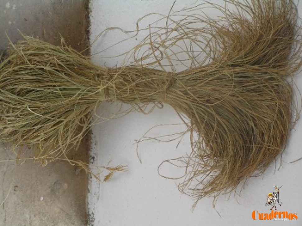 cuevastomellosoturismo 7