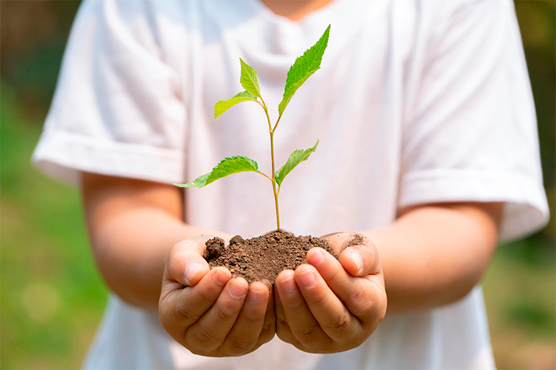 “Ética del cuidado: Juventud, cultura y territorio rural”: el nuevo curso que se impartirá en Tomelloso el 19 y 20 de septiembre