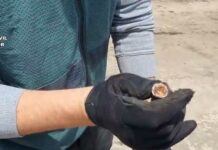 Detenidos los presuntos autores del robo de cable de cobre en las vías del Ave que afectó a decenas de trenes y miles de viajeros el pasado 4 de mayo