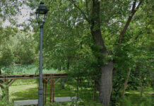 Tragedia en Zorita de los Canes: Muere un hombre de 42 Años ahogado en el río tajo