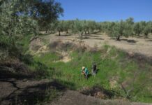 El IAS-CSIC destaca la importancia de la conservación del suelo