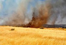 Un incendio en Brazatortas suspende el AVE entre Madrid y Andalucía
